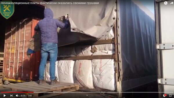 Плиты превращаются... Как в фуре спрятали 21 тонну груш - видео - Sputnik Беларусь