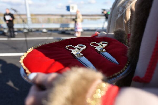 Всего два термошва? Румас в восторге от нового моста под Гомелем Всего два термошва? Румас в восторге от нового моста под Гомелем - Sputnik Беларусь