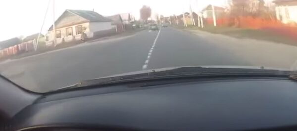 В Добруше для остановки пьяного водителя сотрудники ГАИ использовали табельное оружие - Sputnik Беларусь