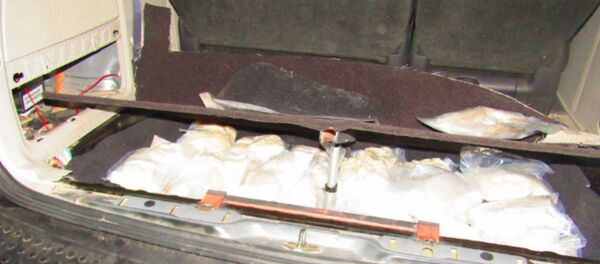 Более 100 кг психотропа экстази изъяли брестские таможенники из тайников авто россиянки - Sputnik Беларусь