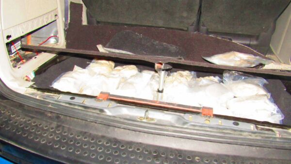 Более 100 кг психотропа экстази изъяли брестские таможенники из тайников авто россиянки - Sputnik Беларусь