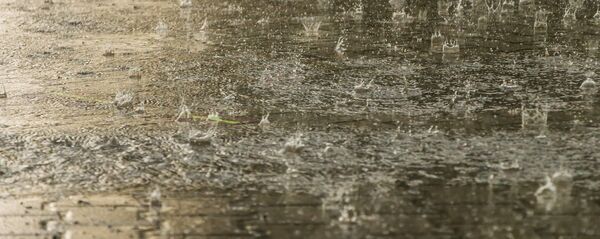 Сильный дождь, архивное фото - Sputnik Беларусь