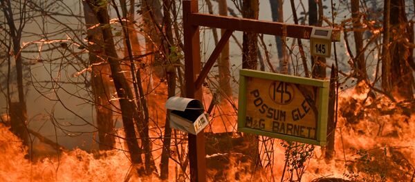 12 ноября 2019 года у дома возле Тари в 350 км к северу от Сиднея - Sputnik Беларусь