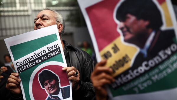 Демонстрация в поддержку президента Боливии Эво Моралеса в Мехико - Sputnik Беларусь