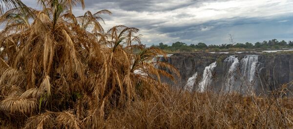 Засуха в Зимбабве - Sputnik Беларусь