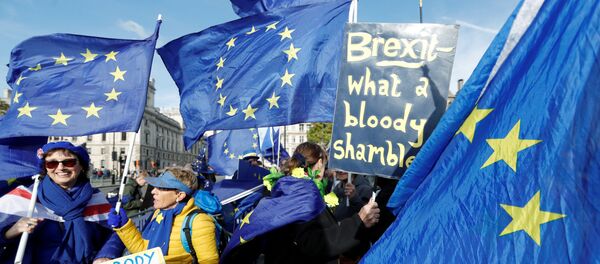 Протесты против Brexit - Sputnik Беларусь