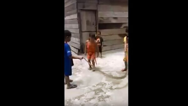 Дети использовали мертвую змею как скакалку, видео - Sputnik Беларусь