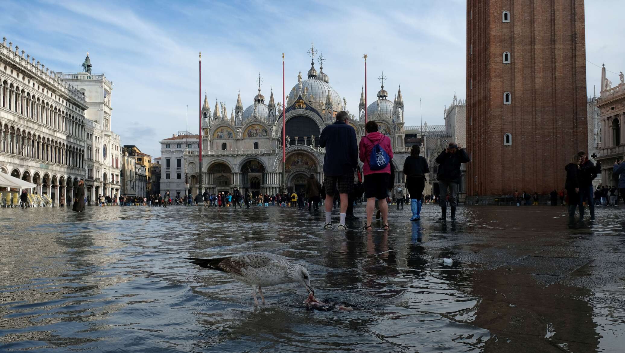 Венеция необычные