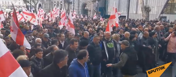 Представители оппозиционных партий собрались у парламента Грузии в знак протеста против поправок в Конституцию - Sputnik Беларусь