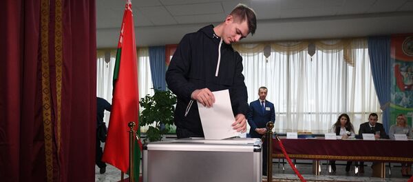 Парламенцкія выбары 2019 Парламенцкія выбары 2019 - Sputnik Беларусь