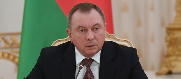 Макей: у бліжэйшы час можа быць прынята рашэнне па саюзных візах - Sputnik Беларусь