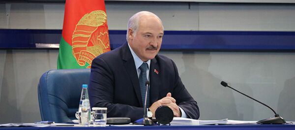Лукашенко ― спортсменам: чего вам не хватает? - Sputnik Беларусь