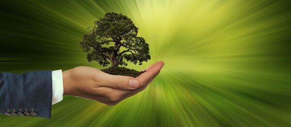 Забота об экологии, архивное фото - Sputnik Беларусь