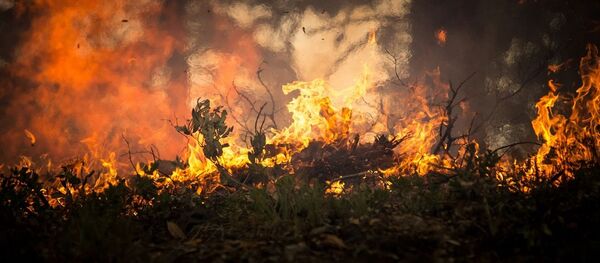 Пожар, архивное фото - Sputnik Беларусь