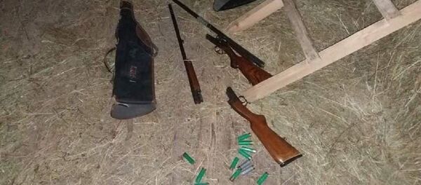 Подросток получил огнестрельное ранение в голову в Логойском районе - Sputnik Беларусь