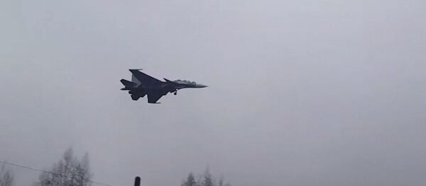 Вторая пара многоцелевых истребителей Су-30 СМ прибыла в Беларусь - Sputnik Беларусь