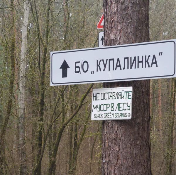 Портят лес, пугают людей. В Гродно зеленую зону превратили в гоночный трэк  - Sputnik Беларусь