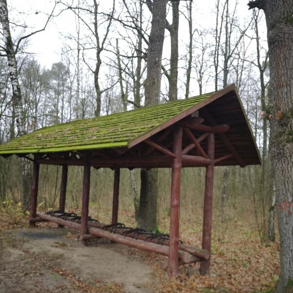 Портят лес, пугают людей. В Гродно зеленую зону превратили в гоночный трэк  - Sputnik Беларусь