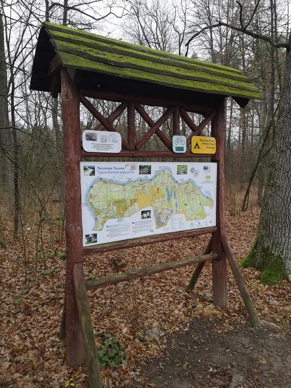 Портят лес, пугают людей. В Гродно зеленую зону превратили в гоночный трэк  - Sputnik Беларусь