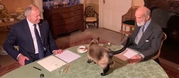 На сустрэчы Румаса і Майкла Кентскага котка гуляла сама па сабе – відэа - Sputnik Беларусь