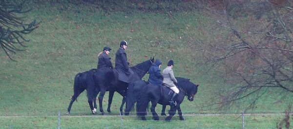 Принц Эндрю обратился за поддержкой к королеве после нового унижения - Sputnik Беларусь