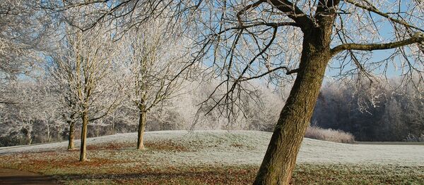 Заморозки осенью - Sputnik Беларусь