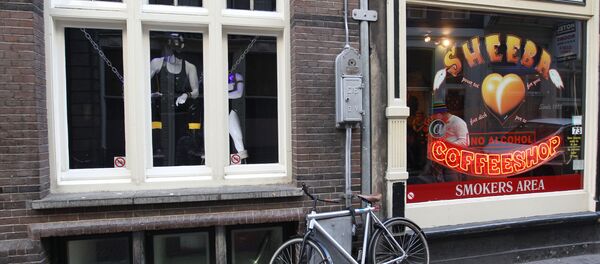 Велосипед у витрины кофешопа на одной из улиц Амстердама - Sputnik Беларусь