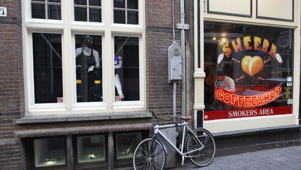 Велосипед у витрины кофешопа на одной из улиц Амстердама - Sputnik Беларусь