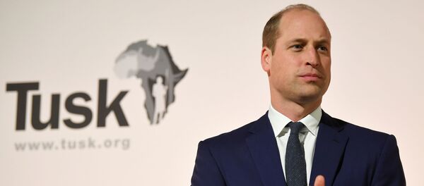 Британский принц Уильям, архивное фото - Sputnik Беларусь