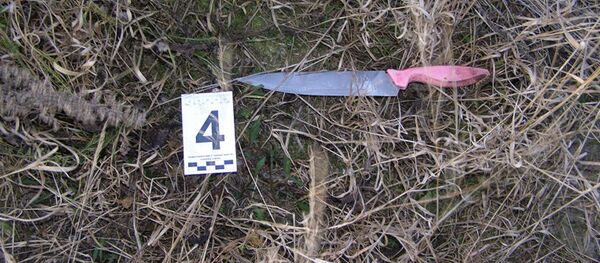 Найденный на месте преступления нож - Sputnik Беларусь