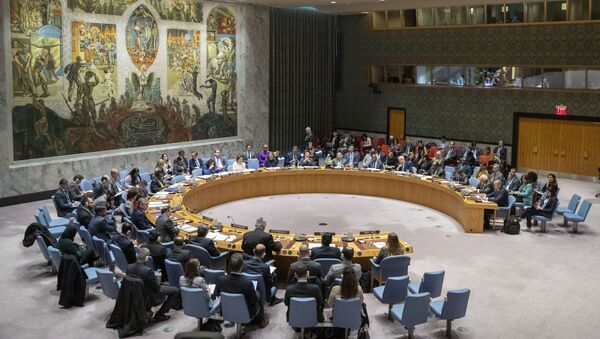Заседание Совета Безопасности ООН - Sputnik Беларусь