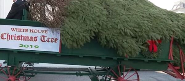 Рождественскую ель доставили в Белый дом на конной повозке - Sputnik Беларусь