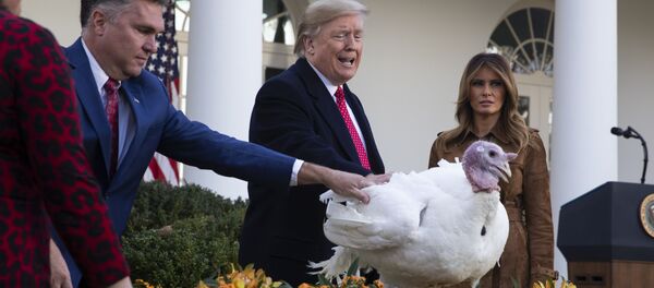 Дональд Трамп помиловал двух индеек по имени Хлеб и Масло - Sputnik Беларусь