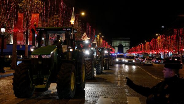 Демонстрацию на тракторах устроили французские фермеры в центре Парижа - Sputnik Беларусь