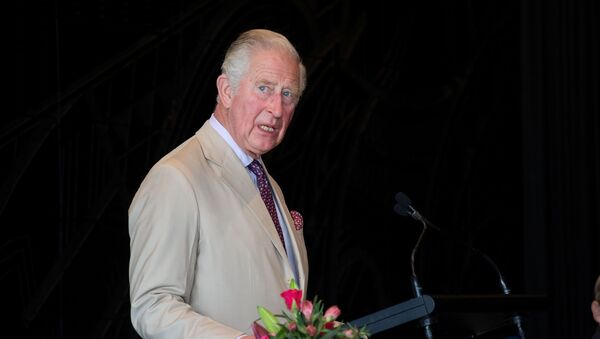 Принц Чарльз готовится сменить королеву на посту главы британской монархии - Sputnik Беларусь