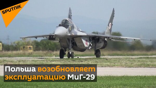 Польские ВВС решили возобновить эксплуатацию советских самолетов МиГ-29 - Sputnik Беларусь