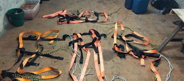 Альпинистов с партией сигарет поймали у границы с Польшей Альпинистов с партией сигарет поймали у границы с Польшей - Sputnik Беларусь