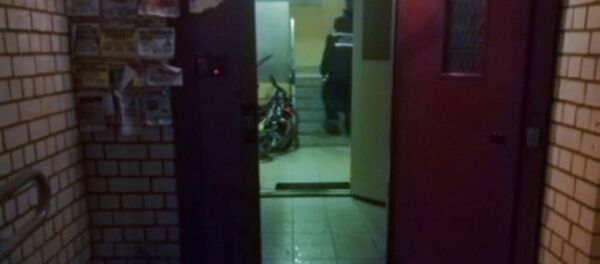 Мужчина ударил ножом жену и был убит собственным сыном - Sputnik Беларусь