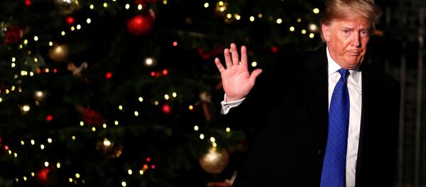 Президент США Дональд Трамп - Sputnik Беларусь