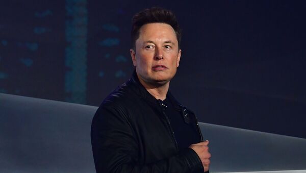 Глава компании SpaceX Илон Маск - Sputnik Беларусь