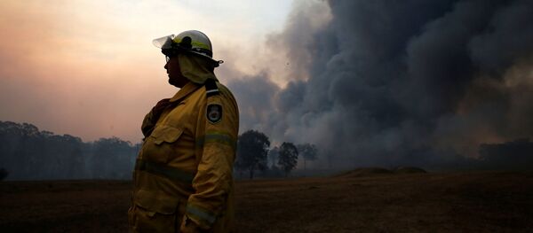 Канадские пожарные отказались от выходных ради помощи австралийским коллегам - Sputnik Беларусь