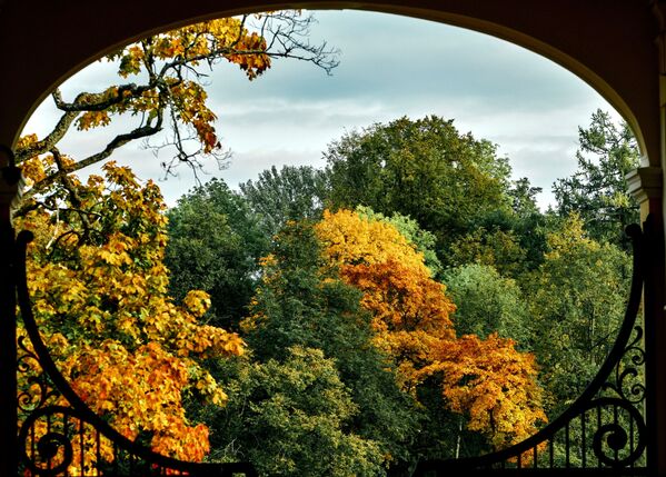 Осень в дворцово-парковом ансамбле Ораниенбаум - Sputnik Беларусь