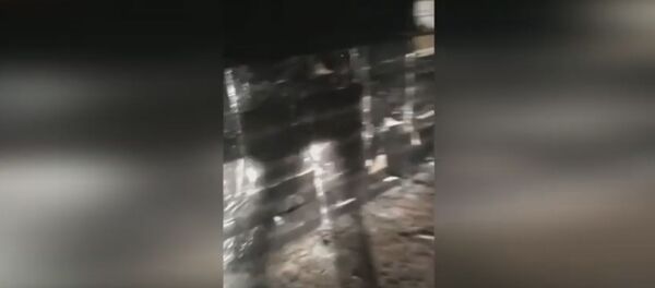 Присыпали опилками: милиция пресекла вывоз сигарет на $30 тысяч - видео - Sputnik Беларусь