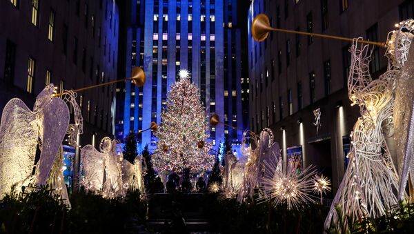 Рождественская ель в Нью-Йорке - Sputnik Беларусь