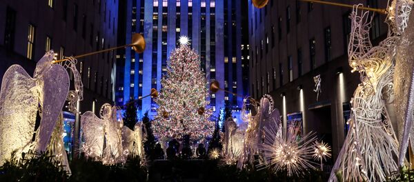 Рождественская ель в Нью-Йорке - Sputnik Беларусь