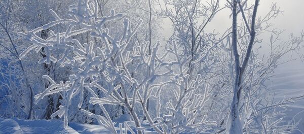 Зіма Зіма - Sputnik Беларусь