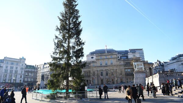 Рождественская ель на Трафальгарской площади в Лондоне - Sputnik Беларусь