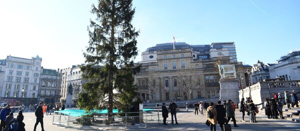 Рождественская ель на Трафальгарской площади в Лондоне - Sputnik Беларусь