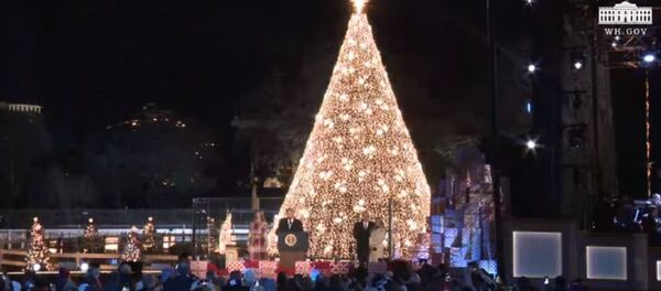 Дональд Трамп и его супруга зажгли рождественскую ель у Белого дома - Sputnik Беларусь