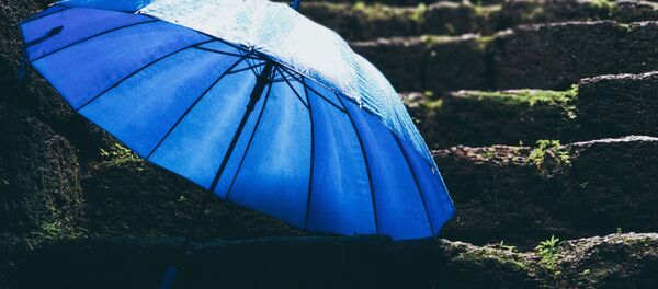 Синий зонт - Sputnik Беларусь